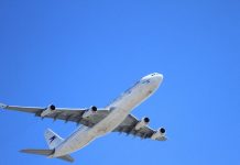 prendre l'avion avec son chat