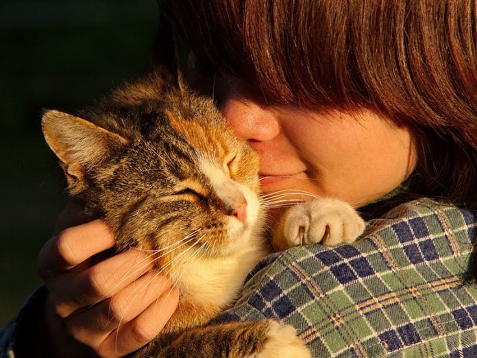 comment le chat reconnait son maitre